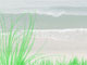 BWD completes website for NH Beach Real Estate