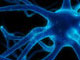 BWD launches Pathology Lab websites for HMS